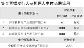 石家莊2012年第一期中小企業(yè)集合票據(jù)AAA信用評級 專業(yè)服務(wù)助力企業(yè)融資與發(fā)展